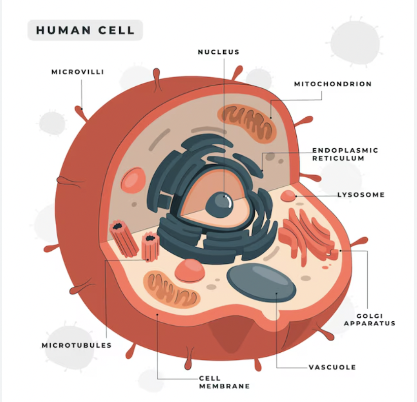 Screenshot 2025 03 20 at 11.19.40